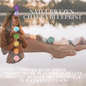 Natuurwezen Chakra Blueprint