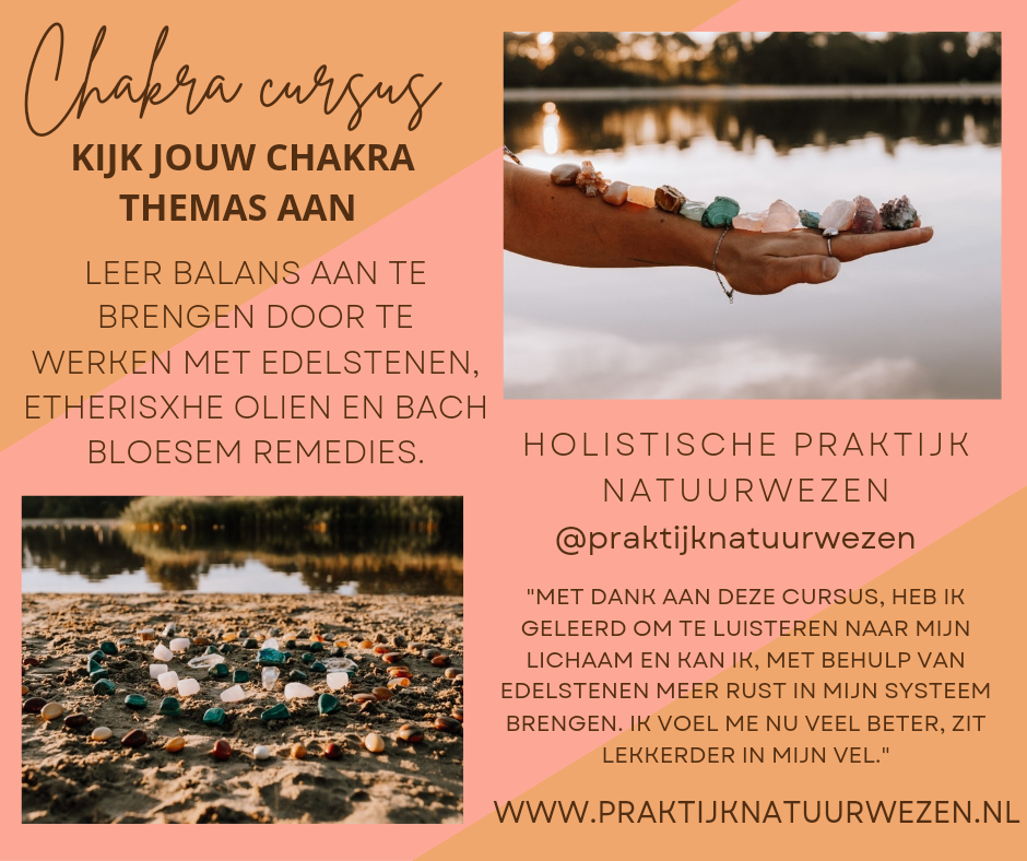 20230505_173200_0000 chakra cursus